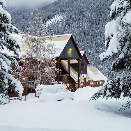 Truffle Pigs Lodge Field Exterior foto