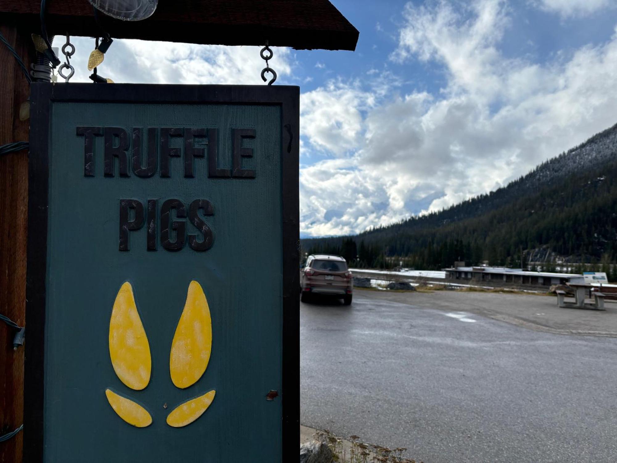 Truffle Pigs Lodge Field Exterior foto